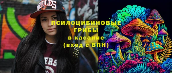 прущие крисы Медногорск