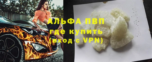 гашик Майский